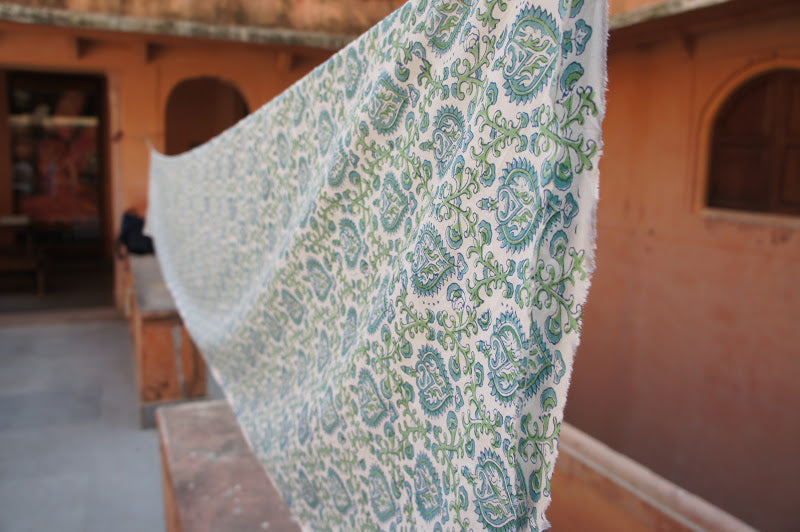 The Arrival of Anokhi!