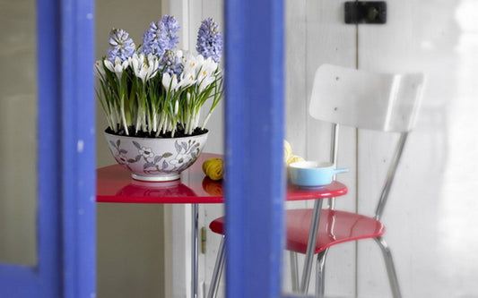 Five Great Winter Pursuits: No.4 Gardening Starts Early