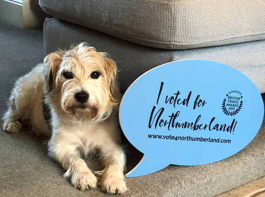 Flo Voted for Northumberland