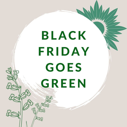 Our take on Black Friday