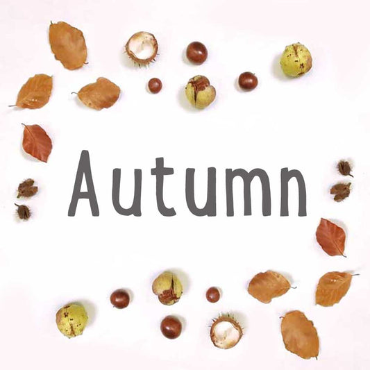 Looks for all of Autumn