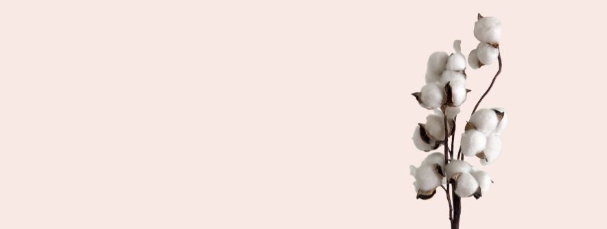 The Wool-Free Edit