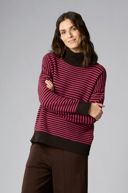Striped Roll Neck Pullover